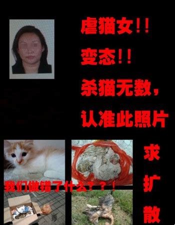 网曝上海虐猫女触犯众怒 前往派出所请求保护__烟台教育网__胶东在线