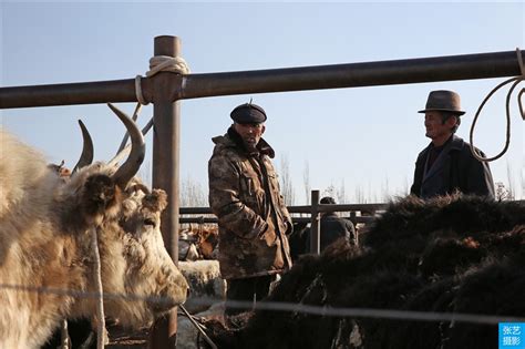 喀什牛羊巴扎 - 康昊 - 富士（中国）极致影像- FUJIFILM