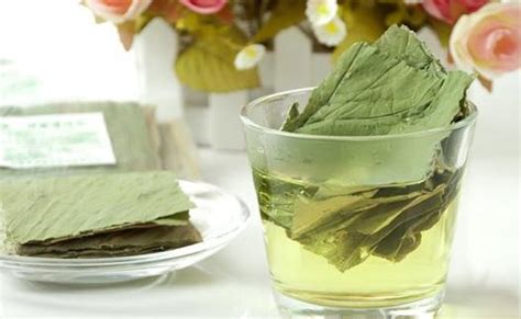 【消脂茶】消脂茶的功效与作用_消脂茶有哪些_消脂茶怎么泡_绿茶说