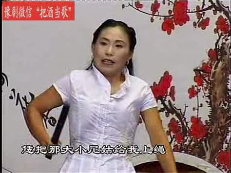 河南坠子：《李娘娘回京》（1）胡银花--标清_腾讯视频