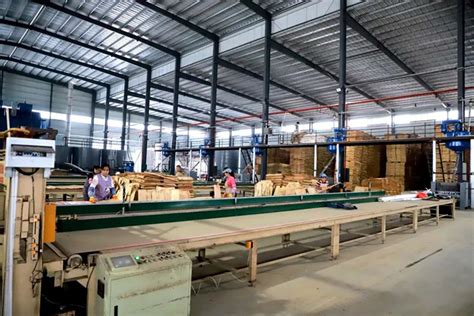 广西来宾人大领导率团赴粤开展木材产业链招商活动-木业网