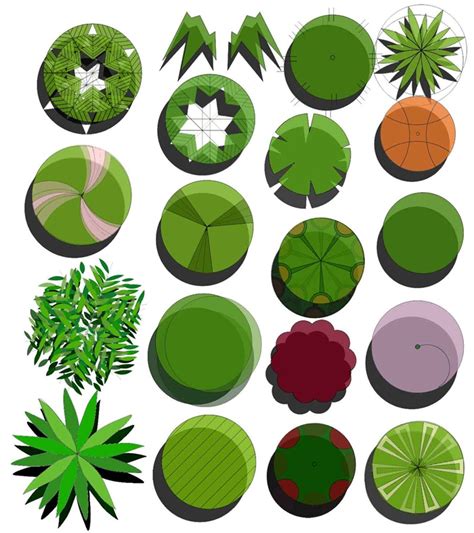 园林植物CAD平面立面图例大全（含深圳地区植物）