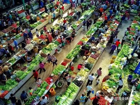 菜市场的新鲜蔬菜高清图片下载-正版图片307695936-摄图网