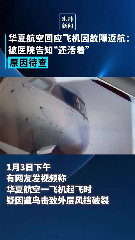 南方航空回应广州至墨尔本航班中途返航：液压系统出现故障_北京时间
