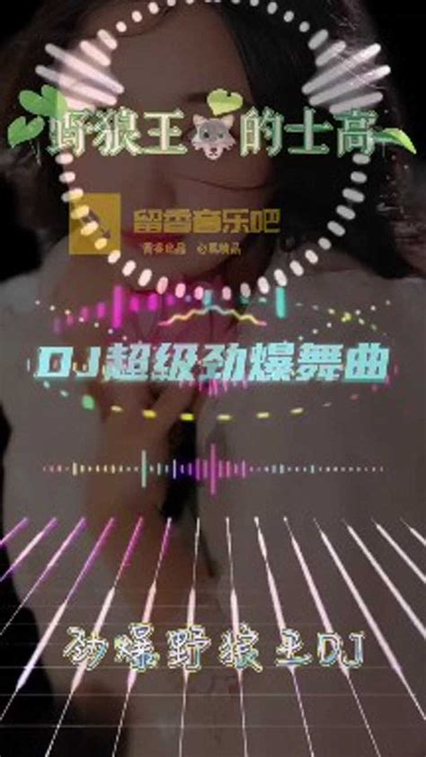 经典DJ劲爆舞曲《野狼王的士高》_腾讯视频