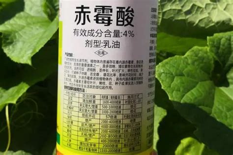 植物激素定量分析-北京中兴博迈科技有限公司