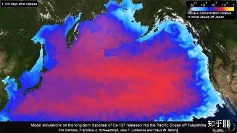日本试图隐瞒核污染水危害，央媒：别再做对历史欠债的缺德事 - 时局 - 新湖南
