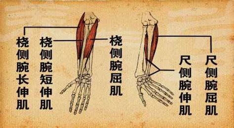 手腕酸痛、手指僵硬，你是腱鞘炎还是腕管综合征？ - 知乎