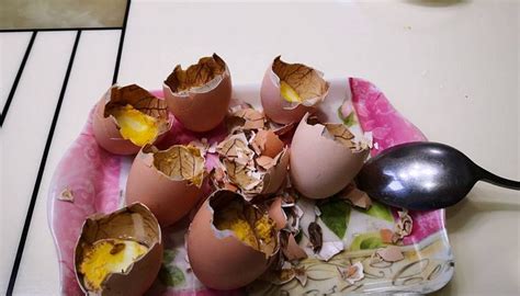 【炒毛蛋的做法步骤图，炒毛蛋怎么做好吃】大树下的六六_下厨房