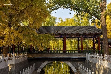 2020年第599贴-北京中山公园秋拍（1112F)-中关村在线摄影论坛