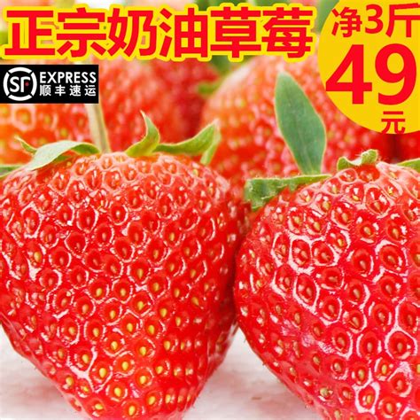 红颜奶油草莓 约重500g/15-20颗 新鲜水果 - 易查单团吧