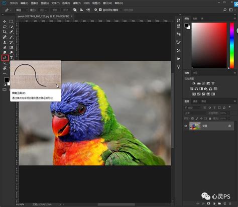 PS抠图教程:Photoshop CC 2019常用抠图工具使用方法--系统之家