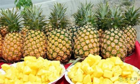 台湾凤梨停止进口，商家止损改口称凤梨为菠萝，二者该如何区分？_东方养生频道_东方养生