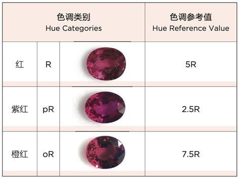 珠宝国检（NGTC）宝石颜色大师评选进阶版--国家珠宝玉石首饰检验集团有限公司