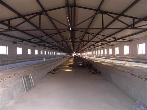鸡舍的建造图片