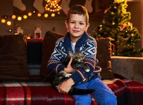 可爱的小男孩坐在沙发上把猫放在圣诞高清图片下载-正版图片507321652-摄图网