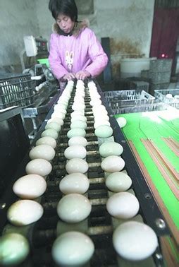 松花蛋生产线,皮蛋,变蛋,松花蛋,咸鸭蛋,卤蛋加工生产线设备-阿里巴巴