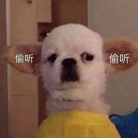今日份的沙雕图图片