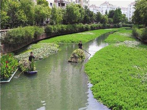 隆昌河生态清洁小流域全面建成_四川在线