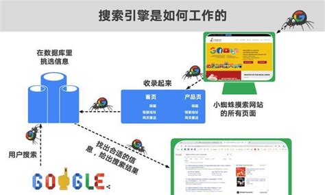 网站SEO快速优化（seo优化方式）-8848SEO