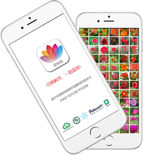 拍照识花神器下载安卓最新版_手机app官方版免费安装下载_豌豆荚