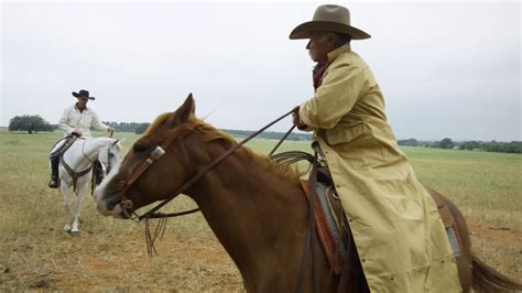 哪里有马场卖高头大马 老实听话的骑乘马多少钱 旅游用马专业调教-阿里巴巴