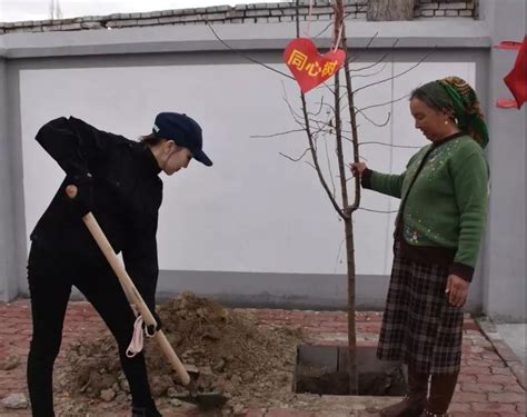 新疆博乐市：民族团结一家亲| 共植一棵亲情树_凤凰网