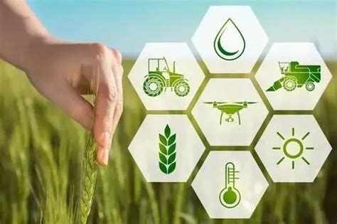 【农业科技】5G、IoT、AI技术编织智慧农业崭新图景_智慧农业-农博士农先锋网