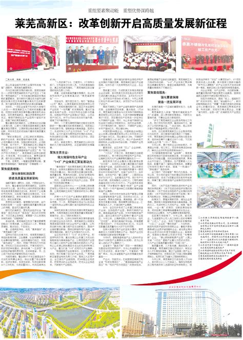 莱芜高新区：改革创新开启高质量发展新征程-大众日报数字报