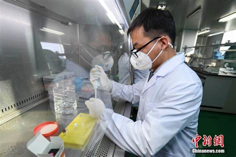 湖南企业加紧新型冠状病毒核酸检测试剂生产