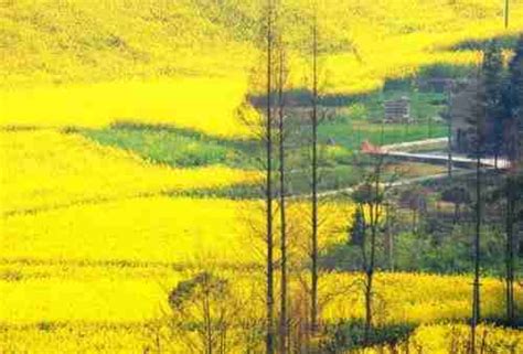 崇州旅游景点有哪些,崇州哪里好玩的景点_大山谷图库