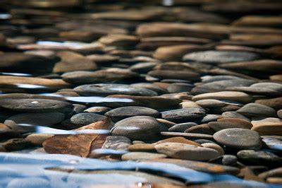 河滩上有各种各样的石头，你喜欢哪个？