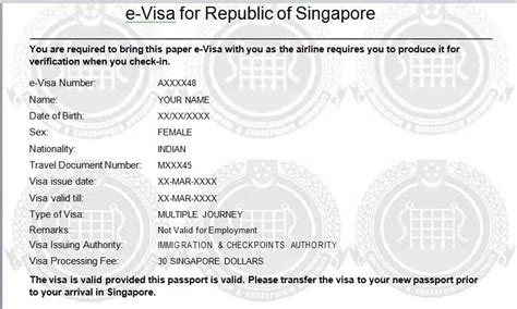 帮中国朋友办理新加坡签证，表格要如何填写？