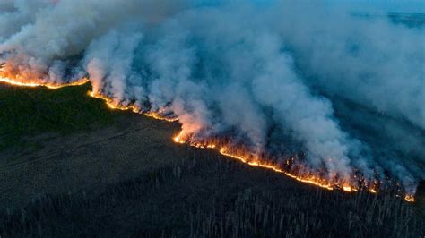 加拿大森林火灾有害气体 如何预防和急救_上海京工实业有限公司