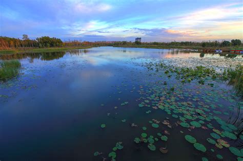 2019大九湖国家湿地公园-旅游攻略-门票-地址-问答-游记点评，神农架旅游旅游景点推荐-去哪儿攻略