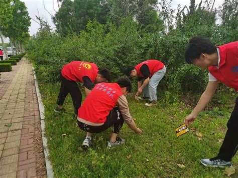 紫辰社区组织青少年开展“清理垃圾 保护环境”志愿服务活动 -大河新闻