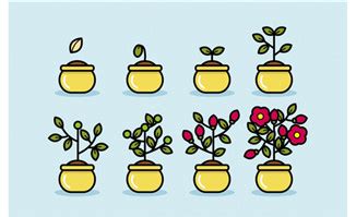 植物生长过程6张简笔画 - 天奇生活