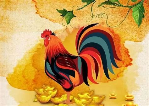 中国金属鸡养殖，鸡内脏里发现金属，鸡肉还能