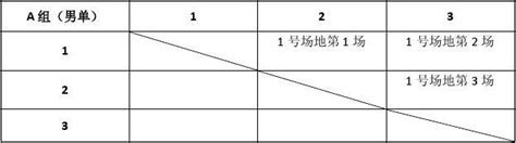 羽毛球比赛对阵表_word文档在线阅读与下载_文档网