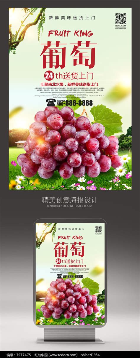 创意葡萄水果海报设计_红动网