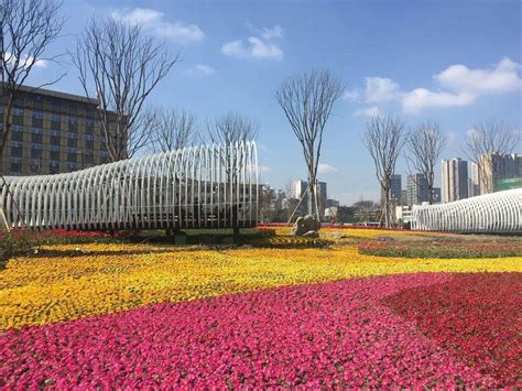 金牛区加快建设中西部综合实力领先城区---四川日报电子版