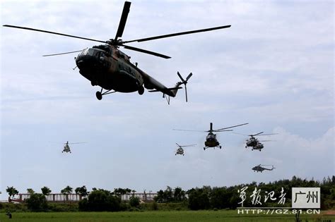 解放军陆航旅演习 直升机漫天飞行(组图) - 青岛新闻网