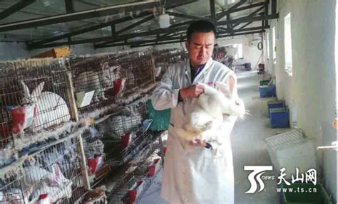 最新彩色肉兔多少钱一斤_大型长毛兔养殖基地_山东明義牧业