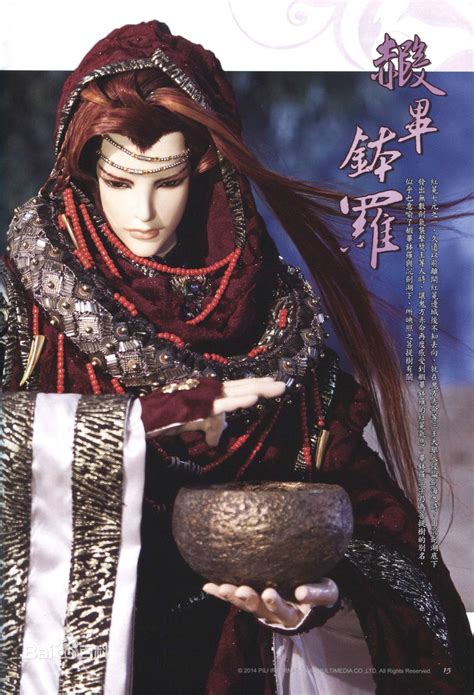 霹雳侠菩提图片