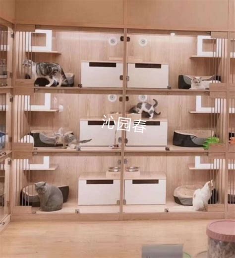 这家猫舍兼作猫塔和储存区，有足够的空间放置两个垃圾箱！ - 普象网