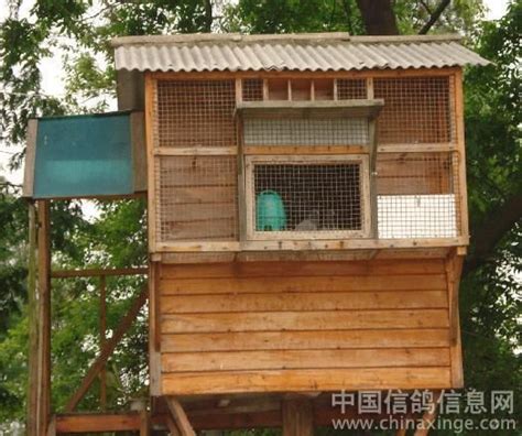 我的鸽棚我来秀—赛鸽棚--中国信鸽信息网相册
