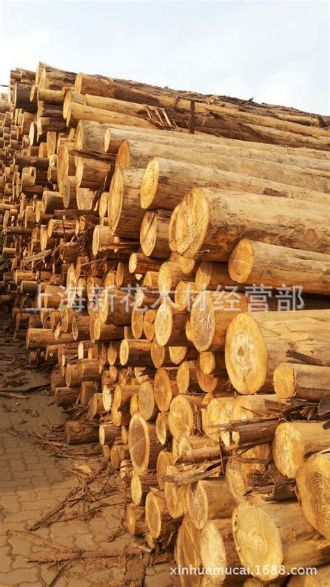 欧洲云杉建筑板材 建筑木料木板 杉木木方供应木材