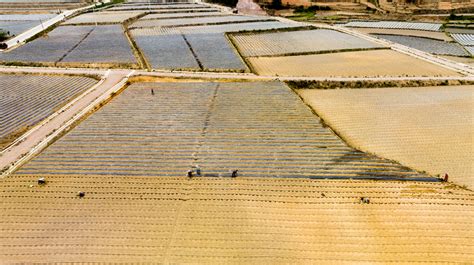 滴灌水肥一体化施工 厂家提供大田果园山地丘陵管道现场实施方案-农机网