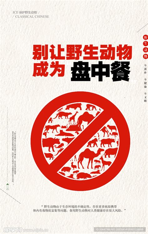 禁止食用野生动物设计图__海报设计_广告设计_设计图库_昵图网nipic.com