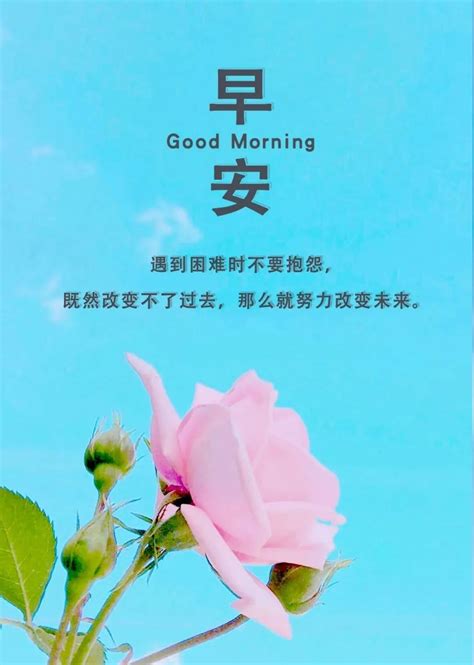 6月27日最美周日早晨好问候表情漂亮美图，清晨暖心的早安祝福语句子_人生